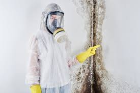 Best Emergency Mold Remediation  in Newkirk, OK